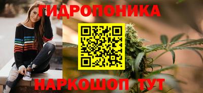 PSILOCYBIN Кимры