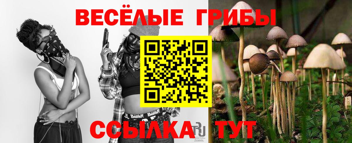 Псилоцибиновые грибы Magic Shrooms  Вход с VPN  Елизово  Псилоцибиновые грибы прущие грибы 